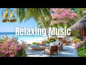 Cozy Island Beach View | 4K Ocean Ambience & Relaxing Music (4 Hours)
