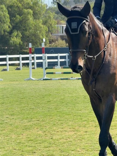 Jessica Rose Lee Welling | Kickoff to Summer 🌞 Southern California hitting all the right spots 🏄‍♀️ surf, sun, ribbons and youthful bliss drenched in SPF 50 🌺 🌊 | Instagram