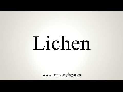 How To Pronounce Lichen