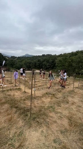 Laberinto: Actividad de Team Building Para Todos