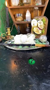 349K views · 4.3K reactions | He was a little more cooperative today than he was yesterday. #reels #animals #snake #reptiles #biology | The Molinaro Snake Lab | Facebook