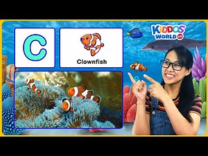 ABC Sea Animals Names A-Z for Children - Learn Alphabet with Miss V and Sea Animal Trivia - Videos For Kids