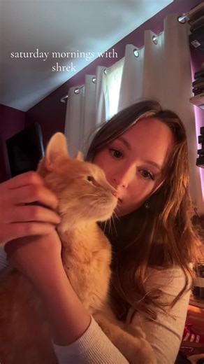 shrek the menace #cat #lamp #autumn #shrek