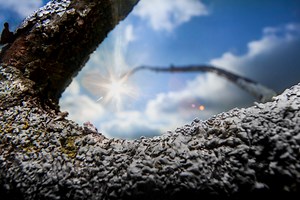 How I built my own DIY wide-angle macro lens