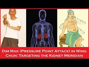 Dim Mak (Pressure Point Attack) in Wing Chun: Targeting the Kidney Meridian.