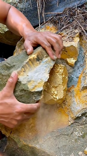 The process of finding gold | finding gold in bedrock fragments | finding an amazing gold nugget | Gold Hunter