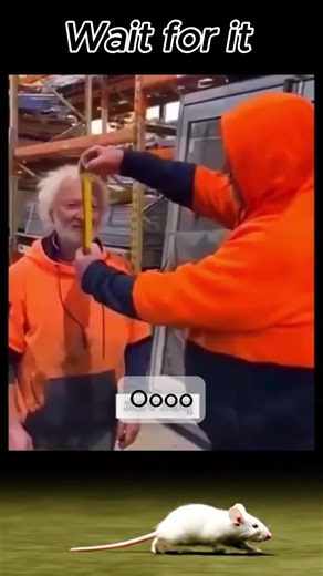 Wait for it 😂 | #funny #comedy
