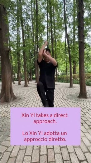 Xin Yi takes a direct approach#xinyiliuhequan #qianshiying #taichichuan #qigong #internalmartialarts