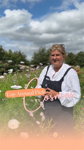 18K views | The Wonders of Cosmos!  If you’re as passionate about...