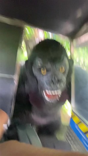 Discover Dinosaur Island: Family-Friendly Adventure