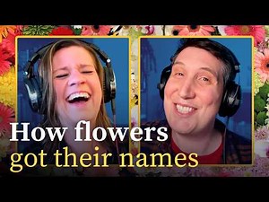 Which flower makes you wet the bed? | FLOWER NAME ORIGINS