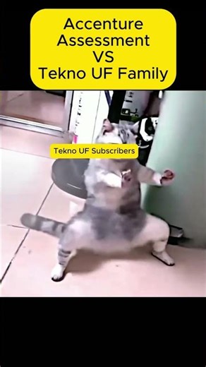 🗿🗿#Accenture vs Tekno UF Family #OnCampus