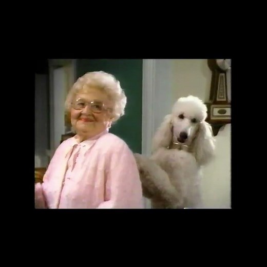 Who remember this commercial? (1991) Little Caesars #tommythrowback #90scommercials #throwback #90s