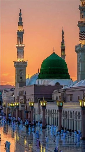 #madina #growth