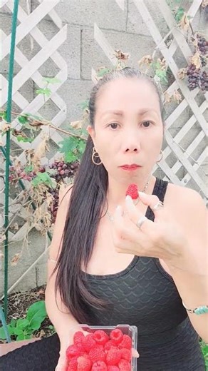 Let's eat Raspberry 😋 ✨️ #shorts #asmr #shortvideo #eating #raspberry #fruit #satisfying #trending