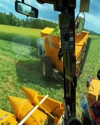 5,000 Hours in the Field: The Secret to the Oxbo 8430's Longevity #farming #agriculture