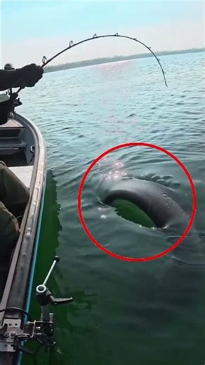 This Man Found Something Crazy Fishing 🎣🤣