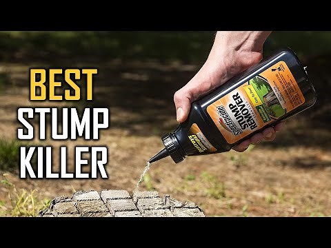 Top 5 Best Stump Killers for Roots/Eucalyptus/Conifers/Buckthorn/Bamboo & Trees [Review 2023]