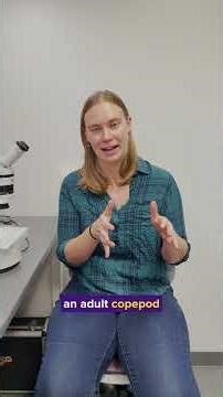 Learning from copepods: Flexibility is key to coping with a changing climate