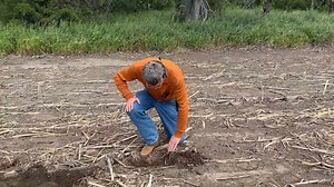85 reactions · 15 shares | Farmer David Struck and his son Brady have finally wrapped up their soybean planting, overcoming rain delays that set them back by a couple of weeks. Despite the late start possibly affecting their yield, they're staying positive about the season ahead.  #planting #farming #southdakota #agriculture | SD Soybean | Facebook