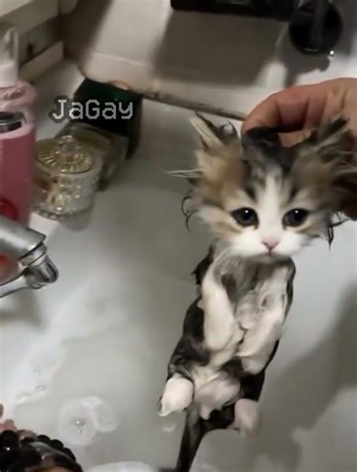 half life (0.9.1) (no effort) #halflife #halflife1