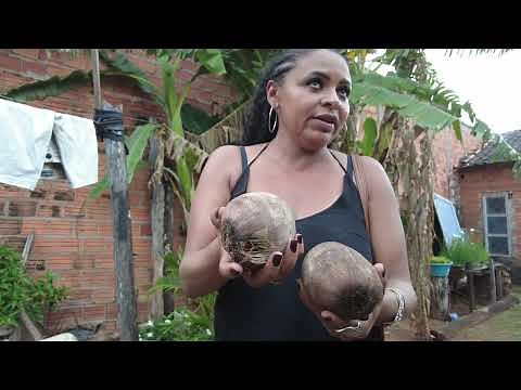 🇧🇷 Village Life In Brazil | 4K