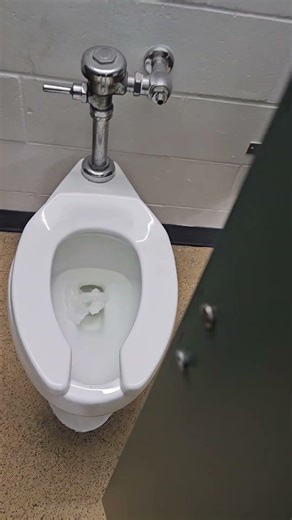 Powerful Kohler Highcliff Ultra Toilet Flushing