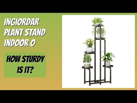 REVIEW (2026): INGIORDAR Plant Stand Indoor O. Features