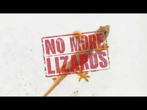 Gecko Lizard Repellent Spray| Non-toxic and Effective Spray