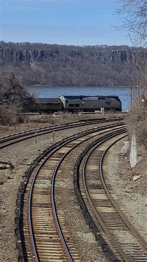 🚆Metro-North & Amtrak #Shorts #Metronorth #Amtrak ‪@EIGHTYSGUY‬