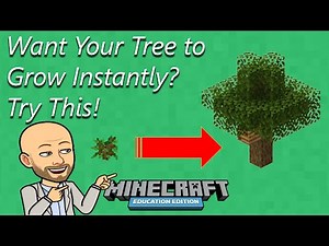 Want Your Tree to Grow Instantly? Try This! - Minecraft Education Edition