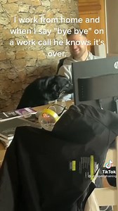 233K views · 2.5K reactions | We don't deserve dogs!❤️ (TikTok @sheepdogtraining) | FM104 | Facebook