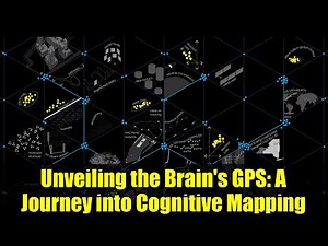 Unveiling the Brain's GPS: A Journey into Cognitive Mapping