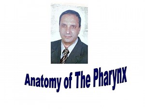 Anatomy of The Pharynx - SlideServe