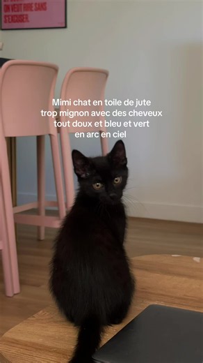 Mimi chat en toile de jute trop mignon avec cheveux arc‑en‑ciel