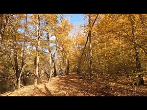 Amazing Autumn Adventure to the Appomattox River at High Bridge