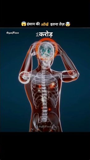 “Your Eyes Send 1 Million Signals Every Second 😱 | Eye Facts”