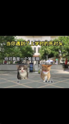 当你遇到了上学时的死对头 #猫meme #猫meme日常 #万万没想到 #意想不到的结局 #死对头