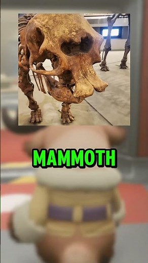 How The Cyclops Originated