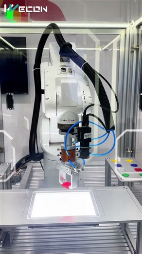 6-Axis Vision-Guided Palletizing System