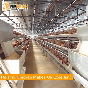 [Hot Item] Galvanized Steel A Frame Automatic Layer Chicken Battery Cage