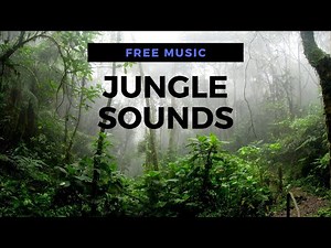 [FREE] Jungle Sounds (No Copyright)