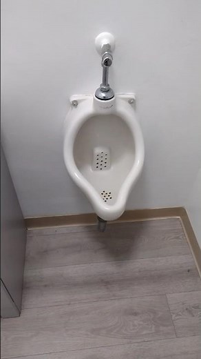 1940-1950s Standard Bering Urinal. #urinal #flush #restroom
