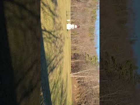 Tag-A-Long: Dollywood Express Train Ride