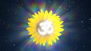 Ohm Symbol Images – Browse 8,470 Stock Photos, Vectors, and Video