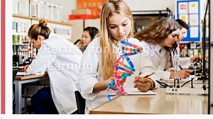 VICASKY 2pcs DNA Double Helix Model,DNA Structure Models Human Genes Learning Kit DIY Assembly Educational Kit for Biology Science Learning Teaching Prop