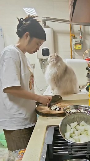 956K views · 17K reactions |  from kimi11260 - DY #cutecatonline . . . #catloversclub #cat #cats #catofinstagram #catoftheday #catlover #catsagram #catlovers #cat_features #catlady #cateye #catholic #catlife #catlove #catsgram #cutecat #cutecats #cutest #meow #kittycat #catinstagram #catsclub #cats_of_instagram #kitty #ilovemycat #caturday #catsofig #thedailykitten #bestmeow | Cute Cat Online | Facebook