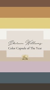 Sherwin-Williams released 2025’s Color of the Year! Which one would you paint in your home? Big fans of “Rain Cloud, “Malabar” and “Bosc Pear” over here! 🤩 #coloroftheyear #2025coloroftheyear #homepainting #homebuilder #dfwhomes | Couto Homes, Inc.