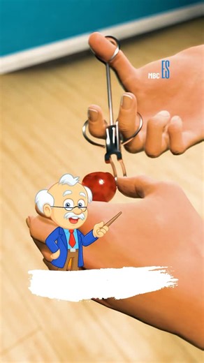 Nousairrasyl on Instagram: "How Cherry Trees Can Multiply Forever 😨 #NatureFacts #Botany #DidYouKnow #MindBlowing #ScienceExplained"