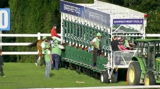 Cosmic Beauty - Friday 23rd May 2025 Aquis Park Gold Coast Soft 5